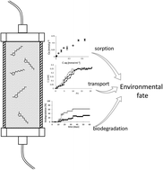 Graphical abstract: Mobility and biodegradability of an imidazolium based ionic liquid in soil and soil amended with waste sewage sludge