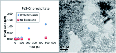 Graphical abstract: Biological versus mineralogical chromium reduction: potential for reoxidation by manganese oxide