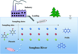 Graphical abstract: Spatiotemporal characteristics of organic contaminant concentrations and ecological risk assessment in the Songhua River, China