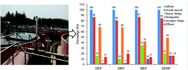 Graphical abstract: Contamination level of four priority phthalates in North Indian wastewater treatment plants and their fate in sequencing batch reactor systems
