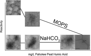 Graphical abstract: Impact of Pahokee Peat humic acid and buffer identity on goethite aggregation and reactivity