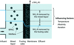 Graphical abstract: A pilot-scale study of a powdered activated carbon-membrane bioreactor for the treatment of water with a high concentration of ammonia