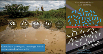 Graphical abstract: Inactivation of bacteria from contaminated streams in Limpopo, South Africa by silver- or copper-nanoparticle paper filters