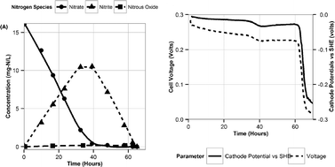 Graphical abstract: Nitrite accumulation in a denitrifying biocathode microbial fuel cell