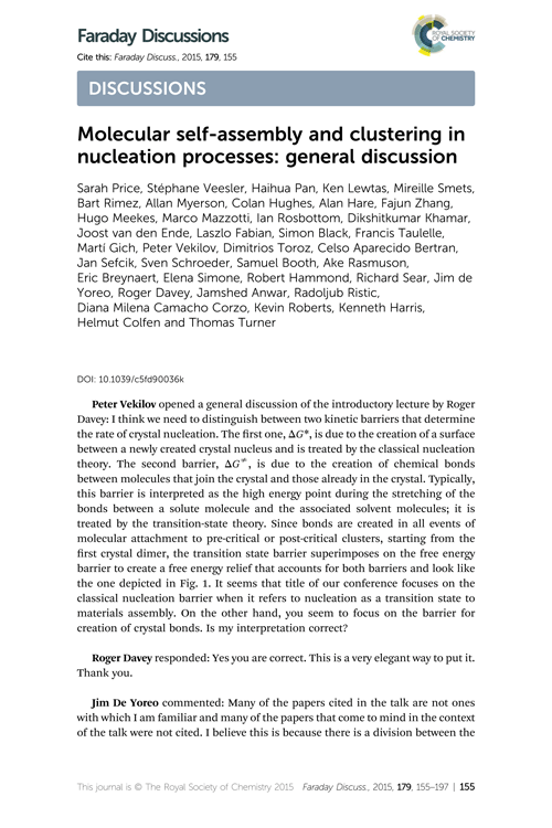 Molecular self-assembly and clustering in nucleation processes: general discussion