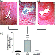 Graphical abstract: Alpha-linolenic acid protects against cardiac injury and remodelling induced by beta-adrenergic overstimulation