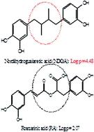 Graphical abstract: Hydrophobicity and antioxidant activity acting together for the beneficial health properties of nordihydroguaiaretic acid