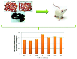 Graphical abstract: Health properties of oca (Oxalis tuberosa) and yacon (Smallanthus sonchifolius)