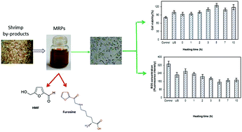 Graphical abstract: The Maillard reaction of a shrimp by-product protein hydrolysate: chemical changes and inhibiting effects of reactive oxygen species in human HepG2 cells