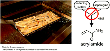 Graphical abstract: Acrylamide: inhibition of formation in processed food and mitigation of toxicity in cells, animals, and humans