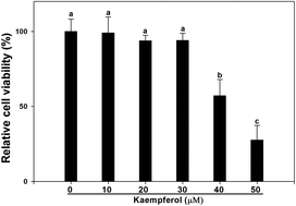 Graphical abstract: Kaempferol suppresses lipid accumulation by inhibiting early adipogenesis in 3T3-L1 cells and zebrafish