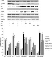 Graphical abstract: Asiatic acid and maslinic acid protected heart via anti-glycative and anti-coagulatory activities in diabetic mice