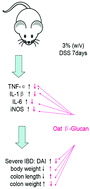 Graphical abstract: Oat β-glucan ameliorates dextran sulfate sodium (DSS)-induced ulcerative colitis in mice
