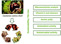Graphical abstract: Promising new applications of Castanea sativa shell: nutritional composition, antioxidant activity, amino acids and vitamin E profile