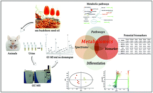 Graphical abstract: Investigation on the antidepressant effect of sea buckthorn seed oil through the GC-MS-based metabolomics approach coupled with multivariate analysis
