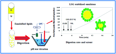 Graphical abstract: Helix aspersa gelatin as an emulsifier and emulsion stabilizer: functional properties and effects on pancreatic lipolysis