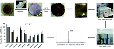 Graphical abstract: Inhibitory effects of selected dietary flavonoids on the formation of total heterocyclic amines and 2-amino-1-methyl-6-phenylimidazo[4,5-b]pyridine (PhIP) in roast beef patties and in chemical models