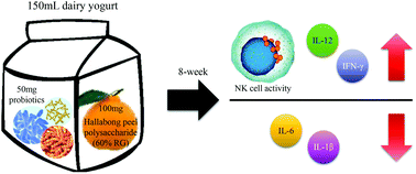Graphical abstract: Consumption of dairy yogurt with the polysaccharide rhamnogalacturonan from the peel of the Korean citrus hallabong enhances immune function and attenuates the inflammatory response