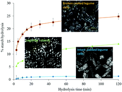 Graphical abstract: Intactness of cell wall structure controls the in vitro digestion of starch in legumes