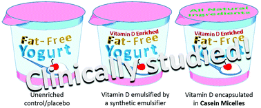 Graphical abstract: Bioavailability, rheology and sensory evaluation of fat-free yogurt enriched with VD3 encapsulated in re-assembled casein micelles