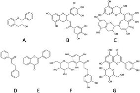 Graphical abstract: Comparison of black, green and rooibos tea on osteoblast activity