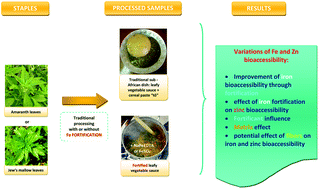 Graphical abstract: The type of fortificant and the leaf matrix both influence iron and zinc bioaccessibility in iron-fortified green leafy vegetable sauces from Burkina Faso