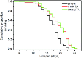 Graphical abstract: The novel dipeptide Tyr-Ala (TA) significantly enhances the lifespan and healthspan of Caenorhabditis elegans