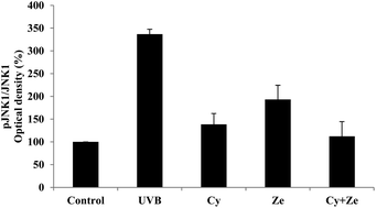 Graphical abstract: A protective effect of anthocyanins and xanthophylls on UVB-induced damage in retinal pigment epithelial cells