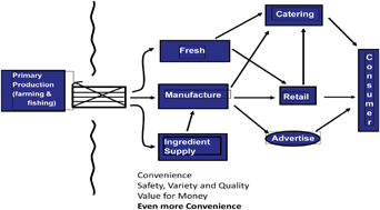 Graphical abstract: The impact of food structure on taste and digestibility