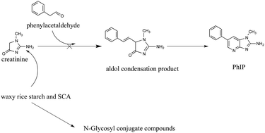 Graphical abstract: Effects of waxy rice starch and short chain amylose (SCA) on the formation of 2-amino-1-methyl-6-phenylimidazo[4,5-b]pyridine (PhIP) in a model system