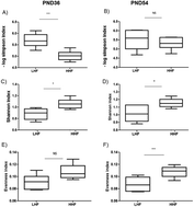 Graphical abstract: Antioxidant properties of formula derived Maillard reaction products in colons of intrauterine growth restricted pigs