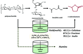 Graphical abstract: Direct conversion of carbohydrates to γ-valerolactone facilitated by a solvent effect