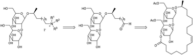 Graphical abstract: A new class of antimicrobial biosurfactants: quaternary ammonium sophorolipids