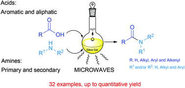 Graphical abstract: Direct amidation of carboxylic acids with amines under microwave irradiation using silica gel as a solid support