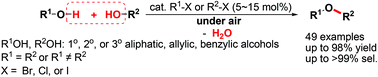 Graphical abstract: Organohalide-catalyzed dehydrative O-alkylation between alcohols: a facile etherification method for aliphatic ether synthesis