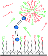 Graphical abstract: Reversed-phase liquid chromatography with mixed micellar mobile phases of Brij-35 and sodium dodecyl sulphate: a method for the analysis of basic compounds