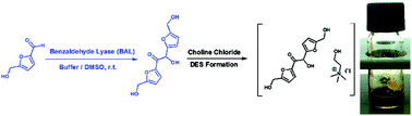 Graphical abstract: Upgrading biogenic furans: blended C10–C12 platform chemicals via lyase-catalyzed carboligations and formation of novel C12 – choline chloride-based deep-eutectic-solvents