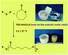 Graphical abstract: Near-to-eutectic mixtures as bifunctional catalysts in the low-temperature-ring-opening-polymerization of ε-caprolactone