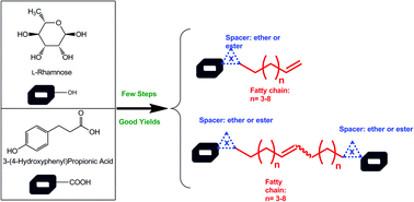 Graphical abstract: Efficient syntheses of bolaform surfactants from l-rhamnose and/or 3-(4-hydroxyphenyl)propionic acid