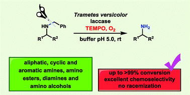 Graphical abstract: Broadening the chemical scope of laccases: selective deprotection of N-benzyl groups