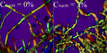 Graphical abstract: Mercerisation of cellulose in aqueous NaOH at low concentrations