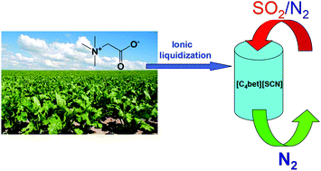 Graphical abstract: Biodegradable betaine-based aprotic task-specific ionic liquids and their application in efficient SO2 absorption