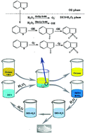 Graphical abstract: Deep desulfurization of fuels based on an oxidation/extraction process with acidic deep eutectic solvents