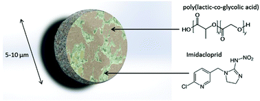 Graphical abstract: Functional nano-dispensers (FNDs) for delivery of insecticides against phytopathogen vectors