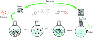 Graphical abstract: Catalytic allylic arylation of cinnamyl carbonates over palladium nanoparticles supported on a thermoresponsive polymer in water