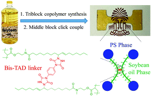 Graphical abstract: Sustainable thermoplastic elastomers derived from plant oil and their “click-coupling” via TAD chemistry