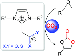 Graphical abstract: CO2, COS and CS2 adducts of N-heterocyclic olefins and their application as organocatalysts for carbon dioxide fixation