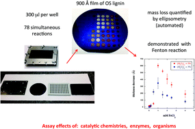 Graphical abstract: Assay for lignin breakdown based on lignin films: insights into the Fenton reaction with insoluble lignin