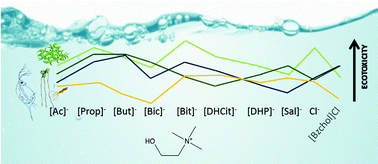 Graphical abstract: Environmental safety of cholinium-based ionic liquids: assessing structure–ecotoxicity relationships