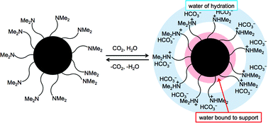 Graphical abstract: CO2-switchable drying agents